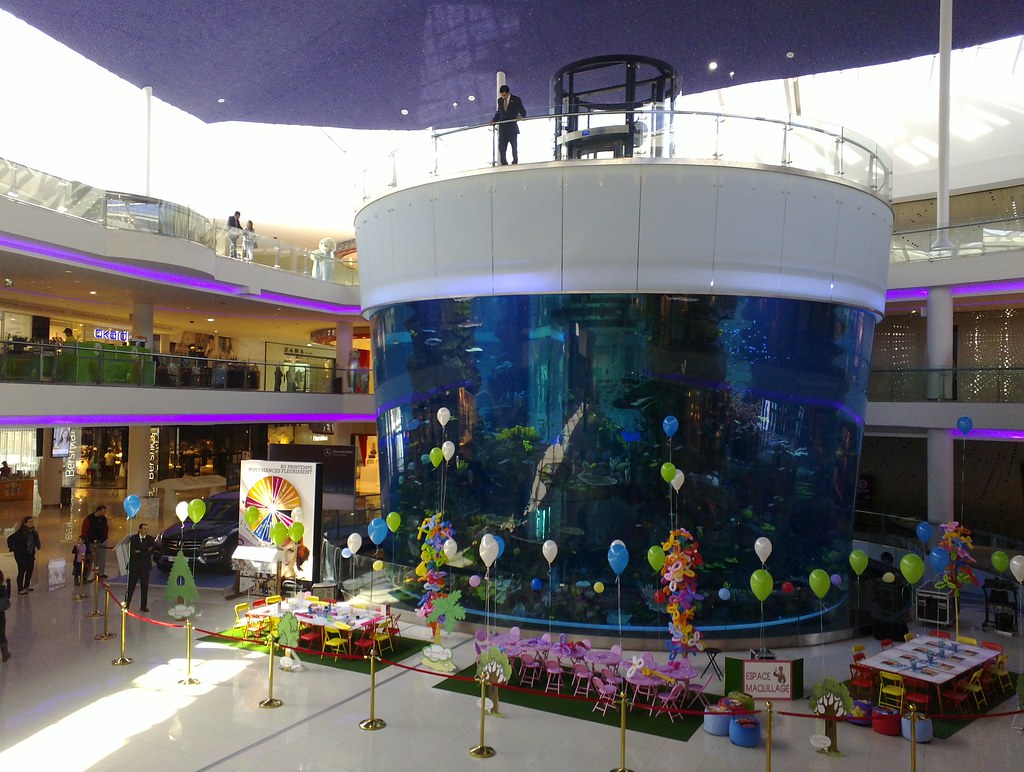 Aquarium Morocco Mall à Casablanca