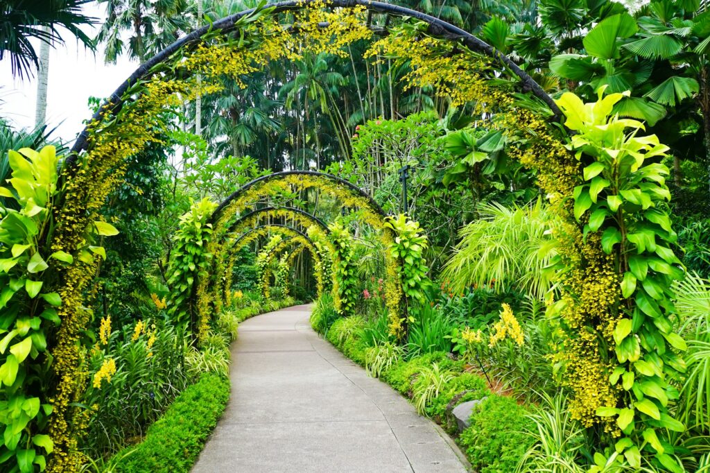 Beautiful view of Singapore botanic gardens in Australia