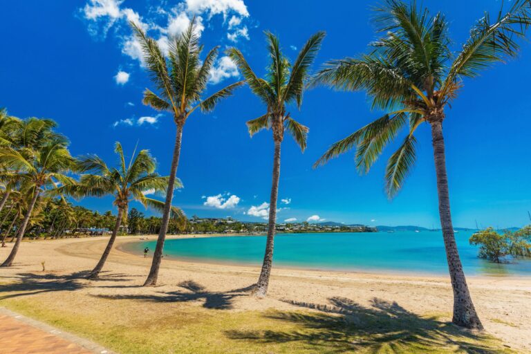 Hot day on sandy beach with palm trees, Airlie Beach, Whitsunday