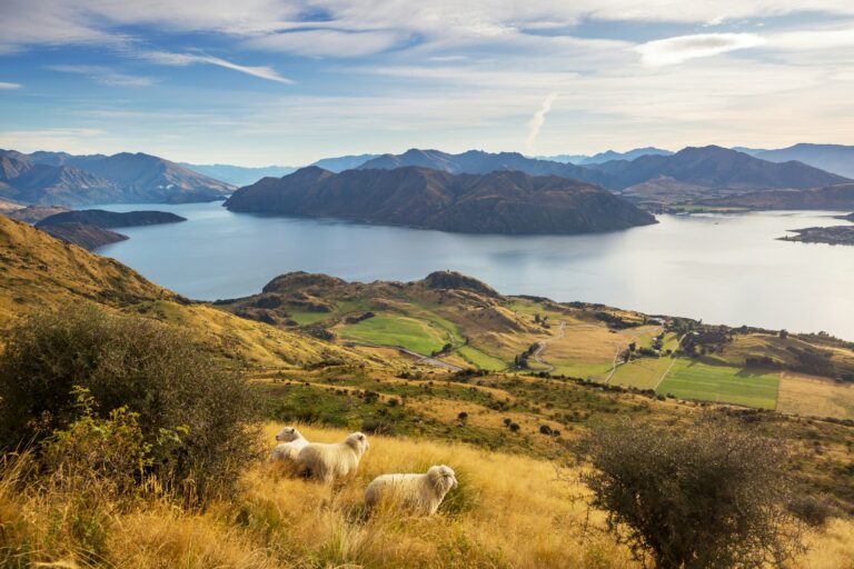 Best Things To See And Do In New Zealand