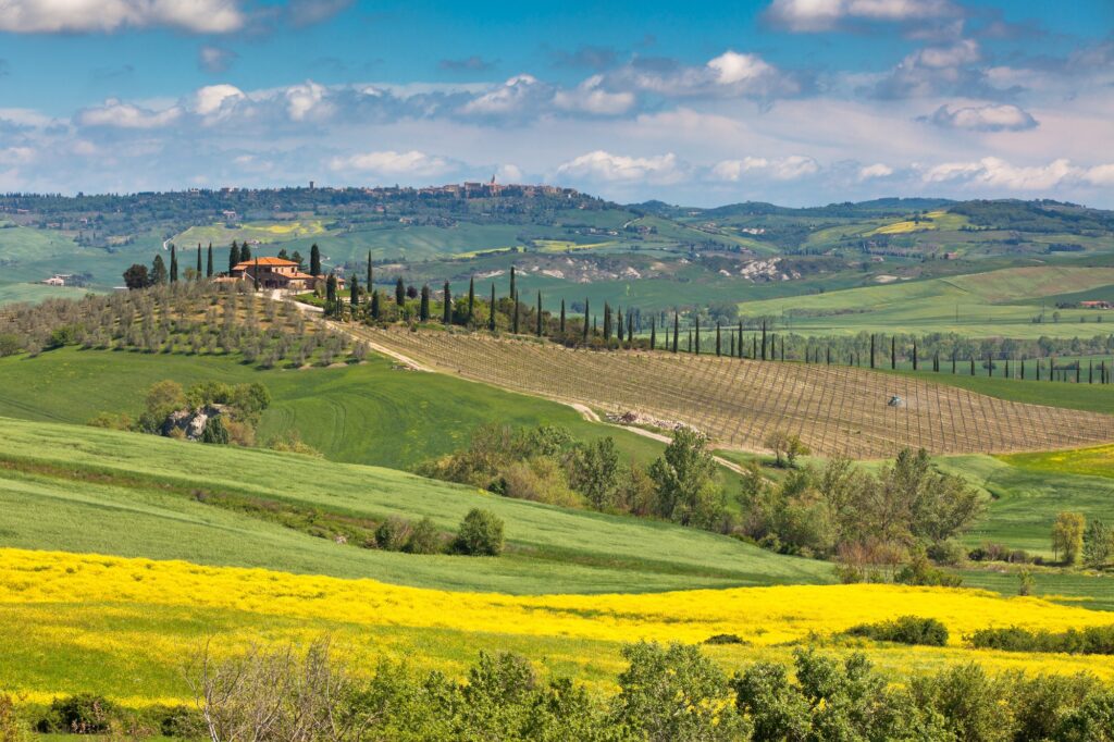 Outdoor Tuscan Val d'Orcia green and yellow fields